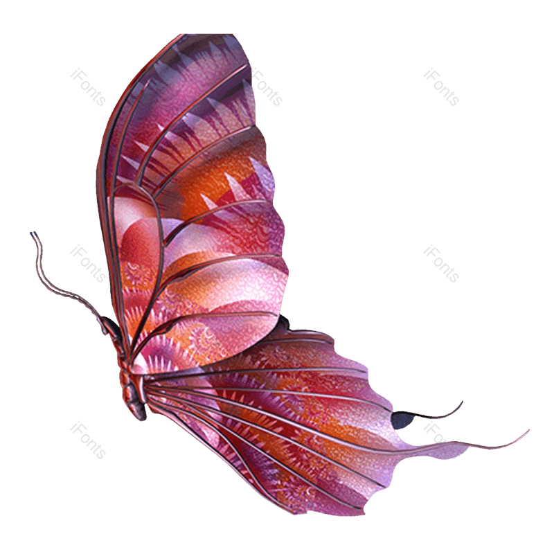 蝴蝶图片,蝴蝶花纹元素,动物PNG,矢量元素免抠素材